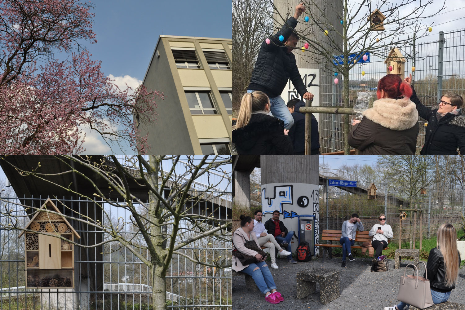 Pflanzaktion im Frühling 2018